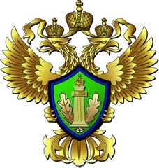 разлив нефтепродуктов в лесу